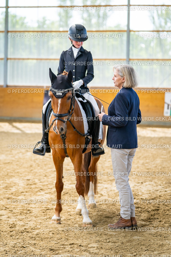 DSC01470 | Pferdegrafie