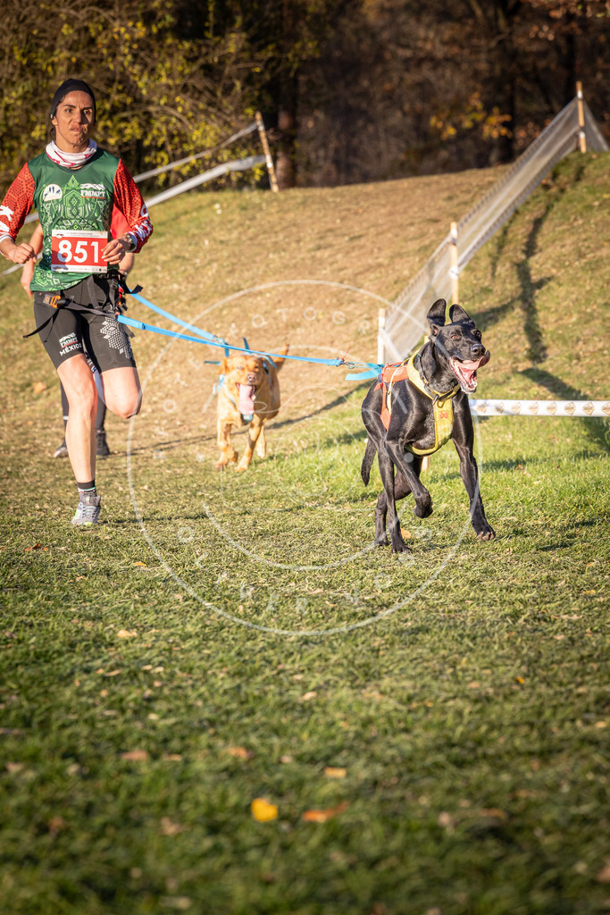 CaniXpix_0L8A0783 | Hundefotografie, Tierfotograf, Pfotenfotografie, Fotoshooting Hund, Hunde Portrait, Hundesport, Hundeportraits, Heideshooting, Hunde, Sportfotograf, Hundefotograf, Turnierhundsport, THS,  - Realisiert mit Pictrs.com