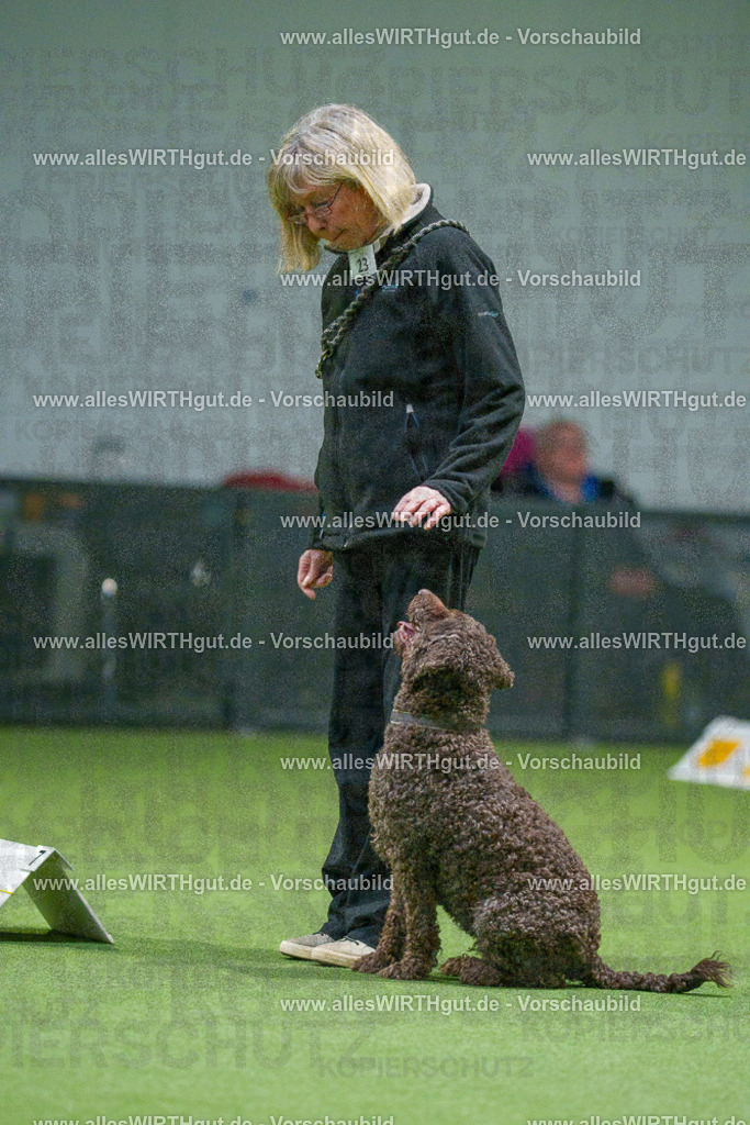 7R504903 | Professionelle Tierfotografie in Mönchengladbach von Daniel Wirth (allesWIRTHgut). Liebevolle & natürliche Bilder von Hunden & Katzen für unvergessliche Erinnerungen.