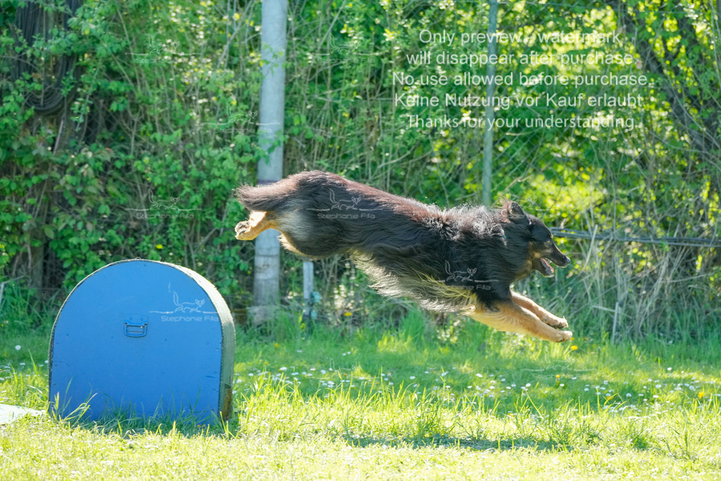 Sa_VK3_03-28 | stephaniefillaphotographie - Realisiert mit Pictrs.com