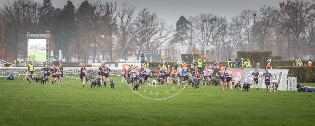 CaniXpix_DV3A8673 | Hundefotografie, Tierfotograf, Pfotenfotografie, Fotoshooting Hund, Hunde Portrait, Hundesport, Hundeportraits, Heideshooting, Hunde, Sportfotograf, Hundefotograf, Turnierhundsport, THS,  - Realisiert mit Pictrs.com