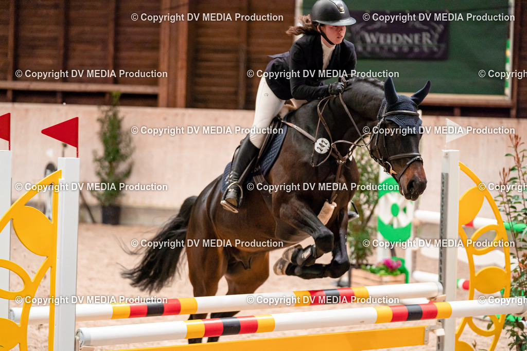 Springen Tag 1-38 | dv-media-shop - Realisiert mit Pictrs.com