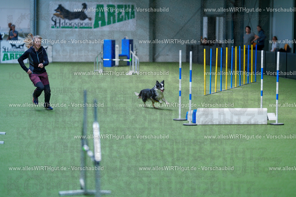 @allesWIRTHgut_Tierfotografie - www.allesWIRTHgut.de - 2604261344-7R502534 | Professionelle Tierfotografie in Mönchengladbach von Daniel Wirth (allesWIRTHgut). Liebevolle & natürliche Bilder von Hunden & Katzen für unvergessliche Erinnerungen.