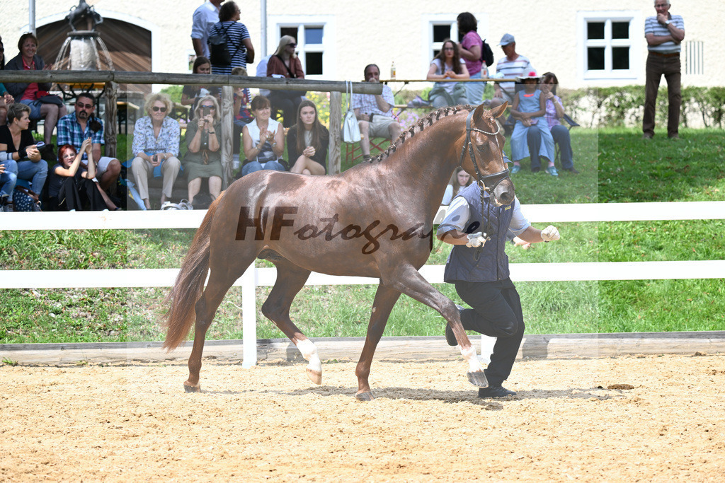 Valenziano_27140764 | hf-fotografie - Realisiert mit Pictrs.com