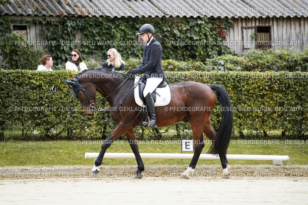 DSC04299 | Pferdegrafie