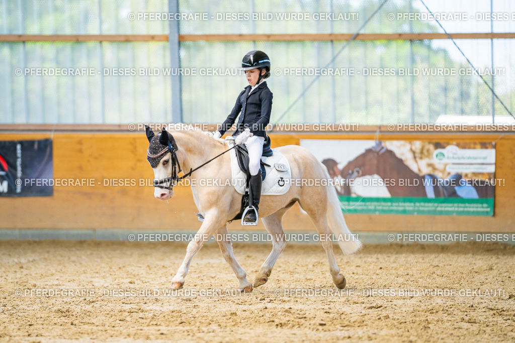 DSC07419 | Pferdegrafie