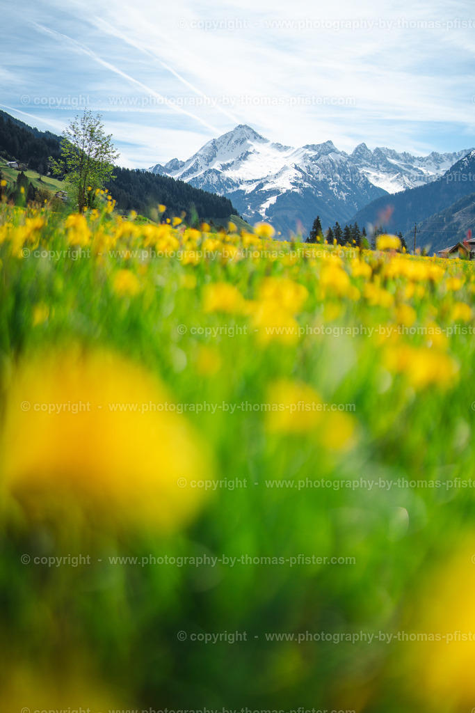 Tux Frühling copyright  Thomas Pfister-6 | PHOTOGRAPHY BY THOMAS PFISTER