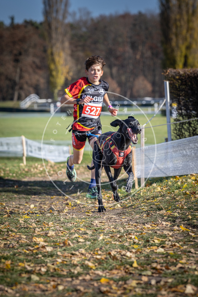 CaniXpix_DV3A8199 | Hundefotografie, Tierfotograf, Pfotenfotografie, Fotoshooting Hund, Hunde Portrait, Hundesport, Hundeportraits, Heideshooting, Hunde, Sportfotograf, Hundefotograf, Turnierhundsport, THS,  - Realisiert mit Pictrs.com
