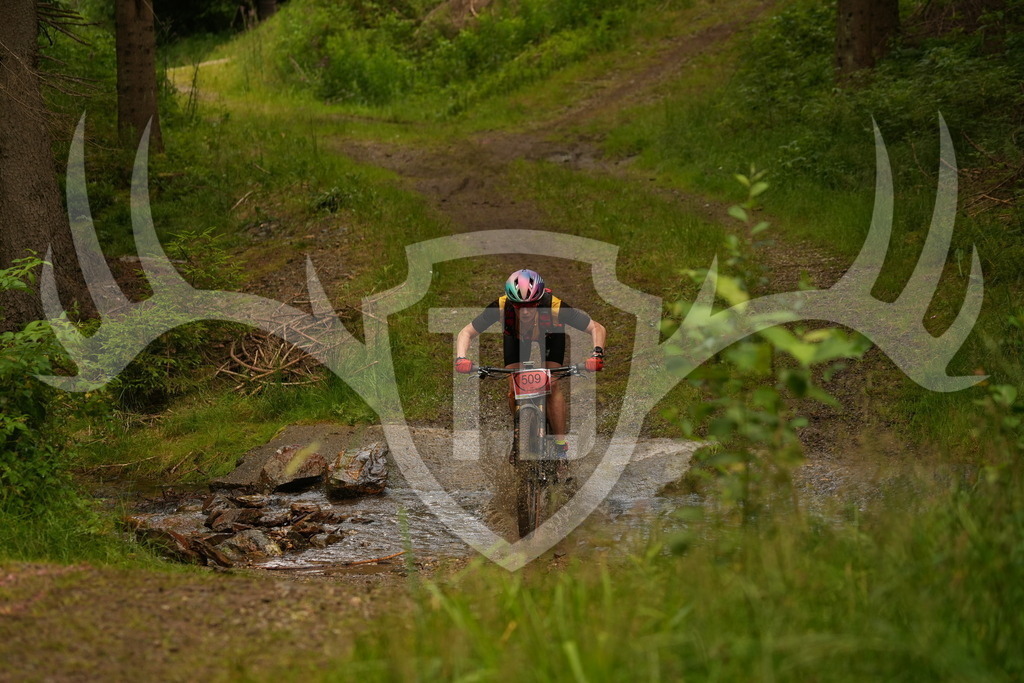 DSC08518 | Fotogalerie der Treibjagd im Dunkelwald - Dein MTB Etappenrennen im Erzgebirge - Realisiert mit Pictrs.com