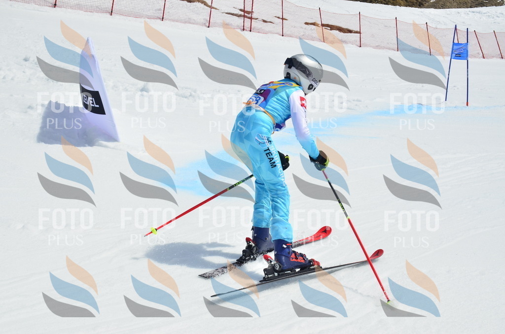 _ELE1914 | holidayphoto