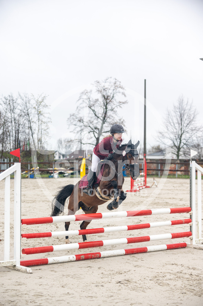 DSC_8551 | sattelsport - Realisiert mit Pictrs.com