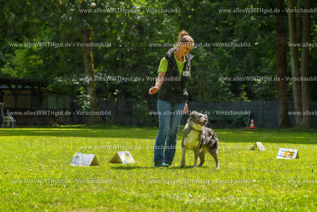 @allesWIRTHgut_Tierfotografie - www.allesWIRTHgut.de - 7R505865 | Professionelle Tierfotografie in Mönchengladbach von Daniel Wirth (allesWIRTHgut). Liebevolle & natürliche Bilder von Hunden & Katzen für unvergessliche Erinnerungen.