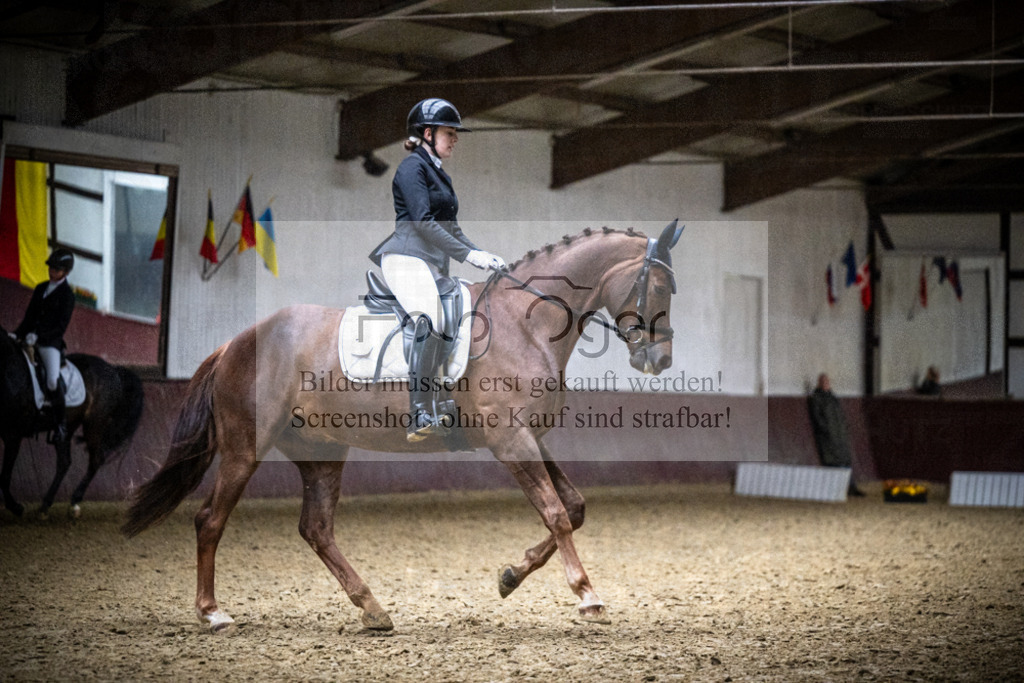 DOS_1324 | Reitturnier Lüdinghausen - Realisiert mit Pictrs.com