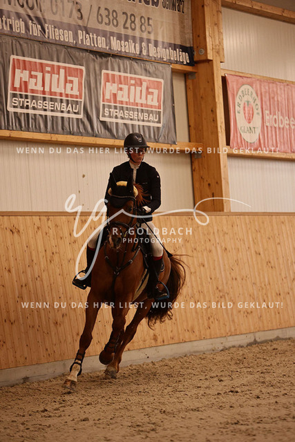 1J2A3495Annelen Heinrich_ Come on Cero_ Kn154_ Hohen Wieschendorf_ Glantz | Foto- und Videografie für alles rund ums Pferd. Hochwertige Bilder und Videos vom Spring- und Dressurreiten, Voltigieren & mehr. Jetzt aktuelle Veranstaltungen und Preise im Shop ansehen. - Realisiert mit Pictrs.com