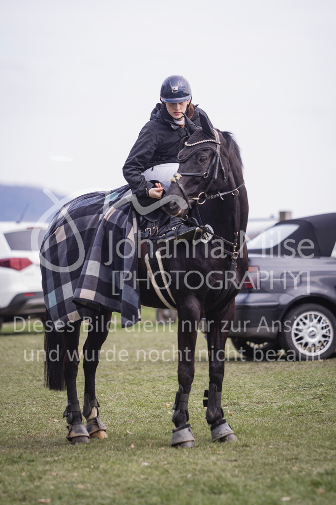 240316_Borgholzhausen_Impressionen-614 | Deine schönsten Turniermomente als professionelle Fotos! Entdecke hochwertige Pferdesport-Fotografie im Online-Shop. Jetzt Fotos finden & bestellen!