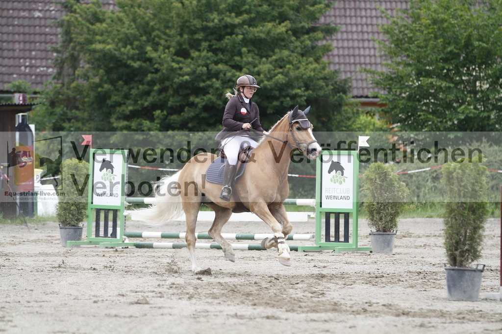 _MG_6636 | equestrian-live-com