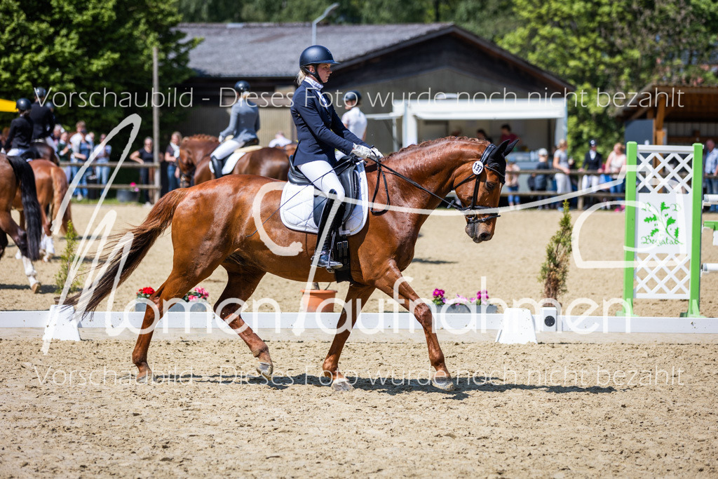 Donop24-L-Dre-113 | MomenTaufnahmen Pferdesportfotos