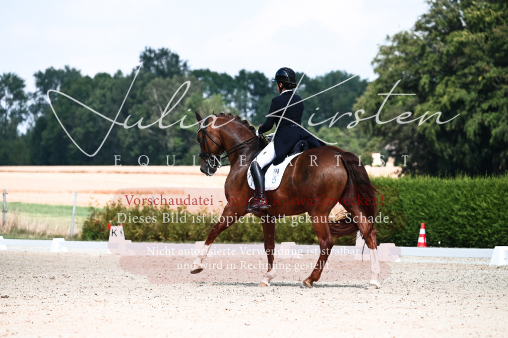 DSC_2883 | Pferde- und Turnierfotografie in Westsachsen. Pferdeportraits, Auftragszeichnungen und intuitive Kunst.