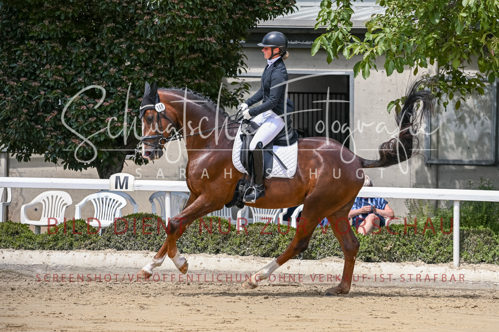 Schugtsche-Aluta25-48.Reitpferfdeprf.-291 | Schugtsche Fotografie - Realisiert mit Pictrs.com