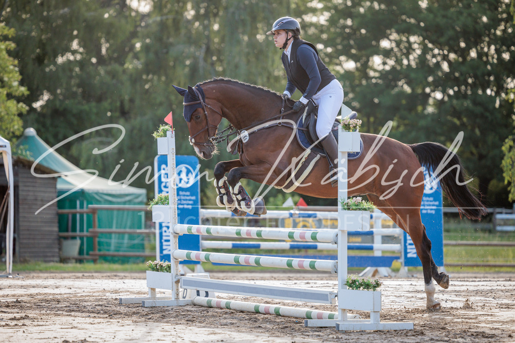 20260529-_3LI1042 | Tierfotografie Pferde, Hunde, Katzen, Haustiere.
Turnierfotografie Reitturniere, Reiten, Springreiten, Dressur in Hanau, dem Main-Kinzig-Kreis und dem Rhein-Main- Gebiet um Frankfurt