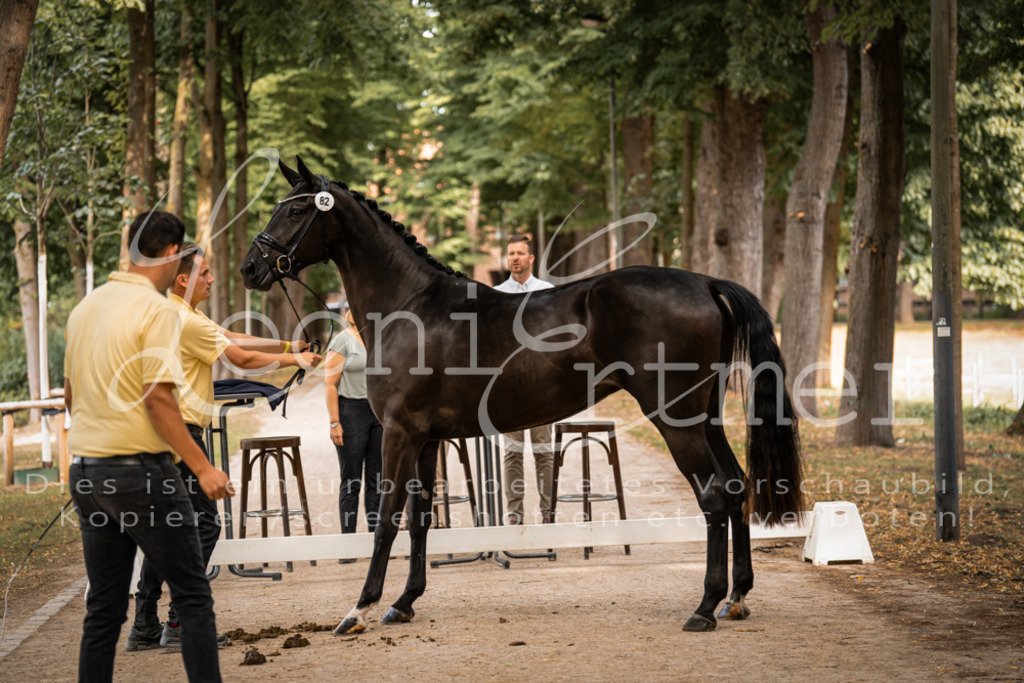 FrPfM00061 | Leoni Ertmer Photography - Realisiert mit Pictrs.com