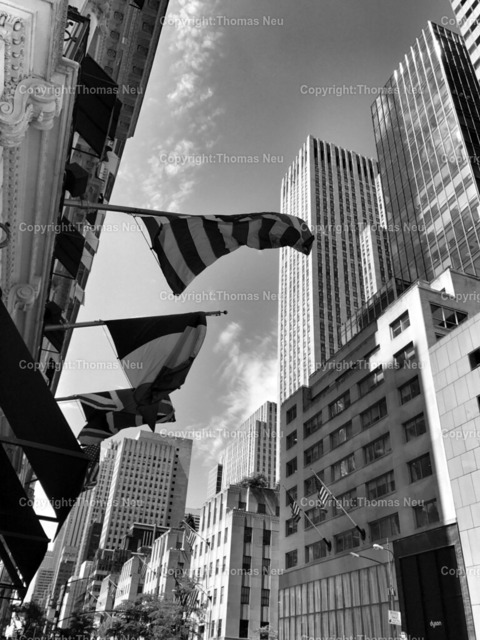 FullSizeRender 96 | ,, Bild: Thomas Neu