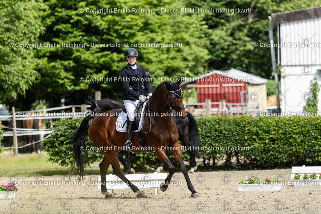 CL5A3884 | Emilia Reinking Fotografie - Realisiert mit Pictrs.com