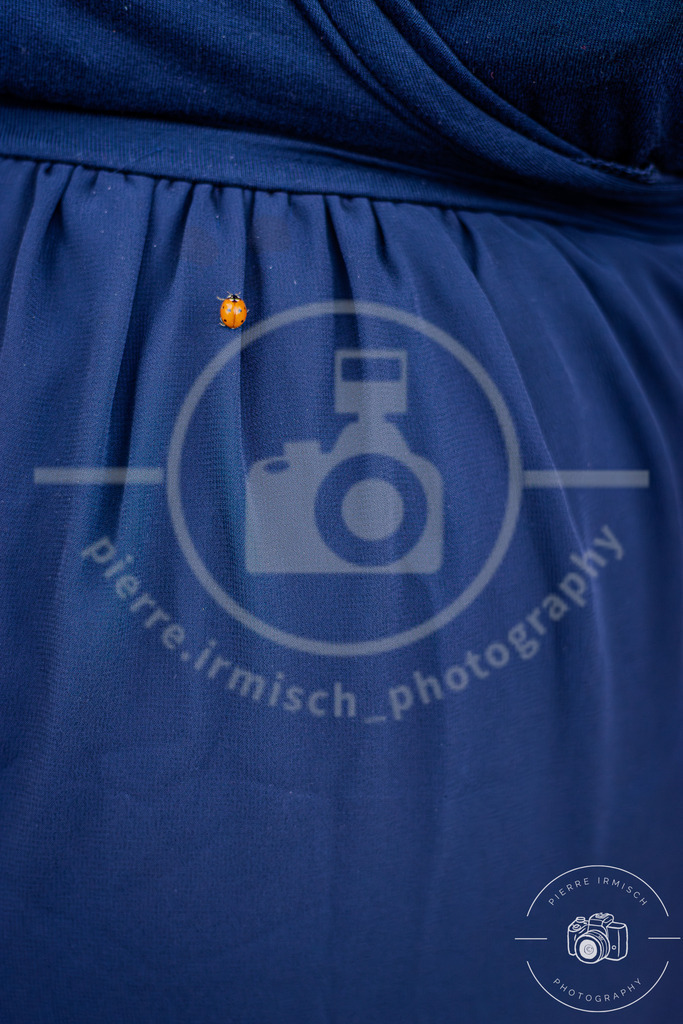 IMG_4152 | pierre-irmisch-photography.de