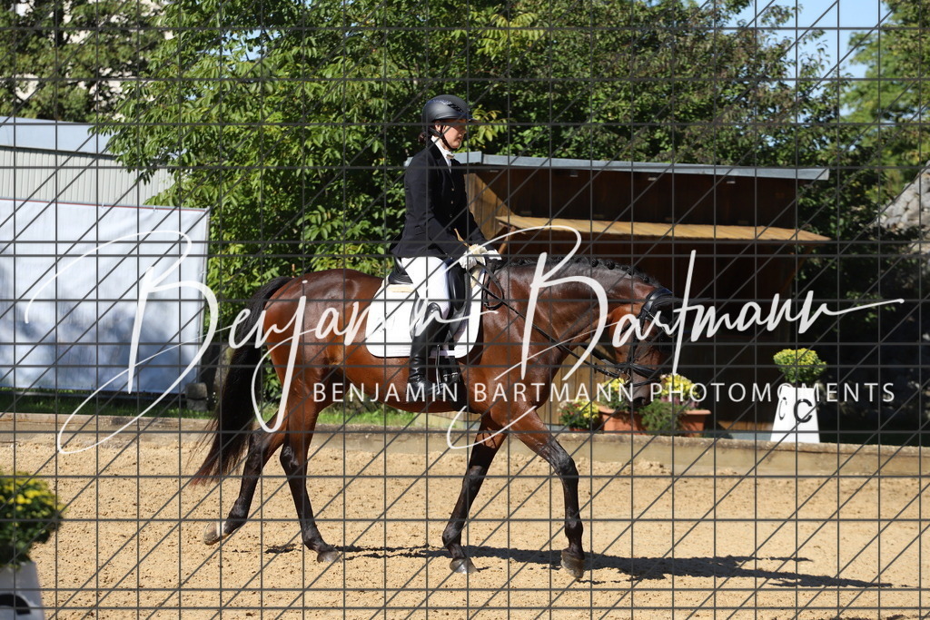 IMG_5645 | Benjamin Bartmann Photomoments