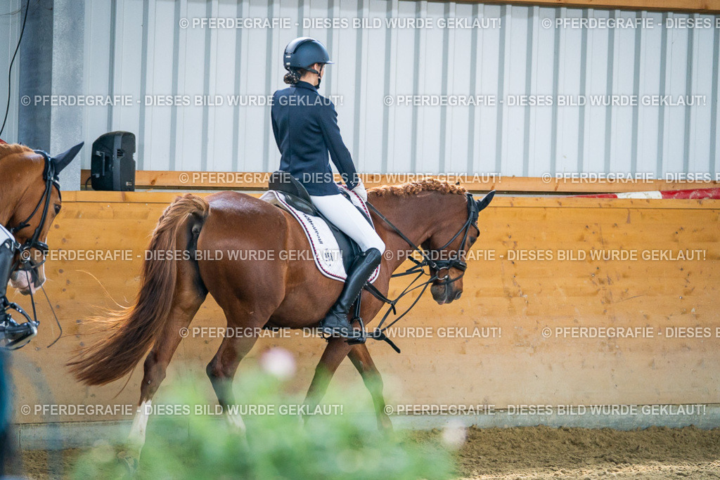 DSC04609 | Pferdegrafie