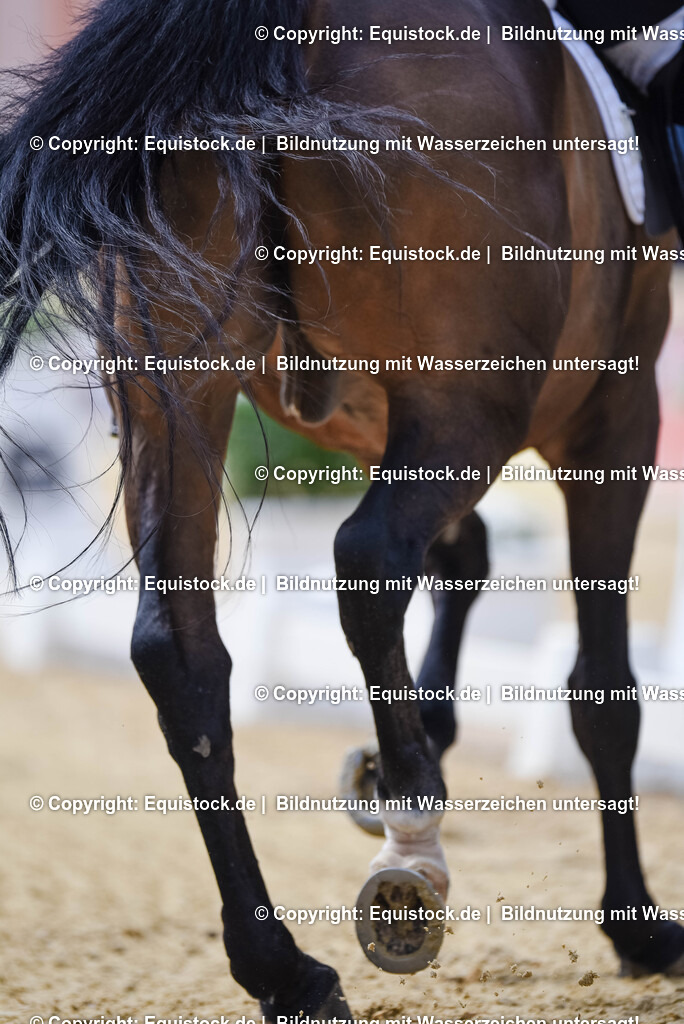 20250607_1_GP-Tour_Dressage_0100 | Foto: Thomas Hartig