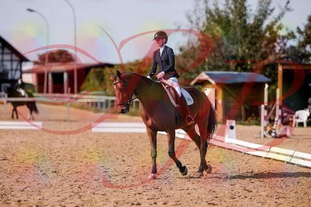 2026_10_03_Siefer-Hof_130729_Z81_58477988 | Professionelle Reitsport-, Turnier- und Eventfotografie von Robert Broda. Galerien mit ausgewählten und bearbeiteten Bildern direkt online ansehen und bestellen.