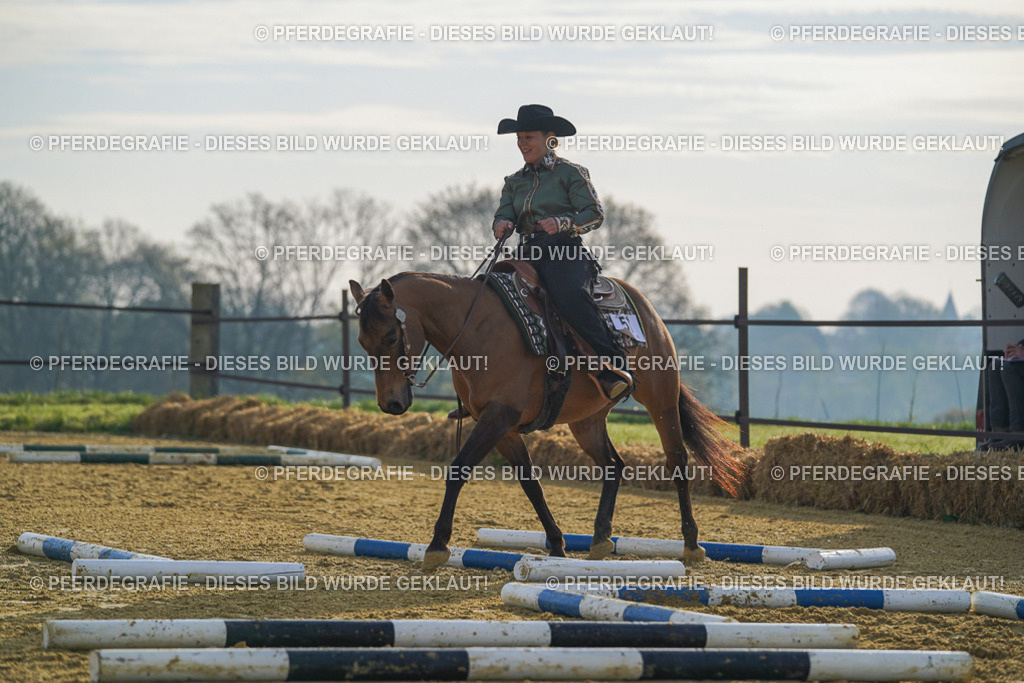 DSC00493 | Pferdegrafie