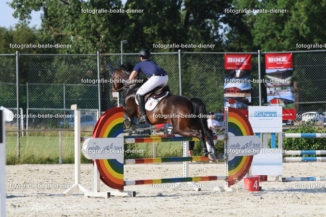 OHT 2022 Röhlingen (140) | Fotografie, Tiere, Hunde, Katzen, Pferde, Sportfotografie, Fotosession, Tierfotografie, Turnierfotografie, Fotografin, Fotograf - Realisiert mit Pictrs.com
