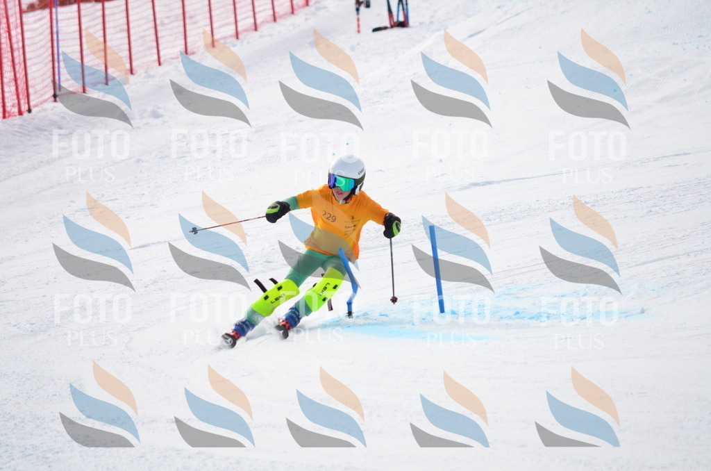 C8291 | holidayphoto