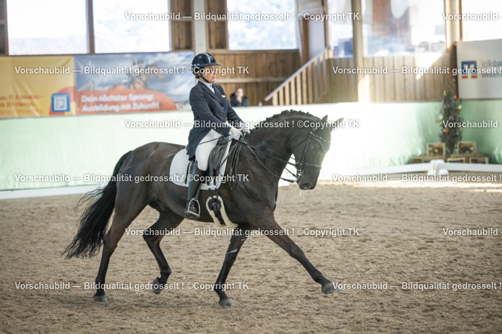 _D5A0522 | Emotionale Pferde- & People-Fotografie rund um Heidelberg, Leimen & Umgebung. Natürliche Fotos von Pferd, Mensch & Familie. Jetzt Termin sichern!