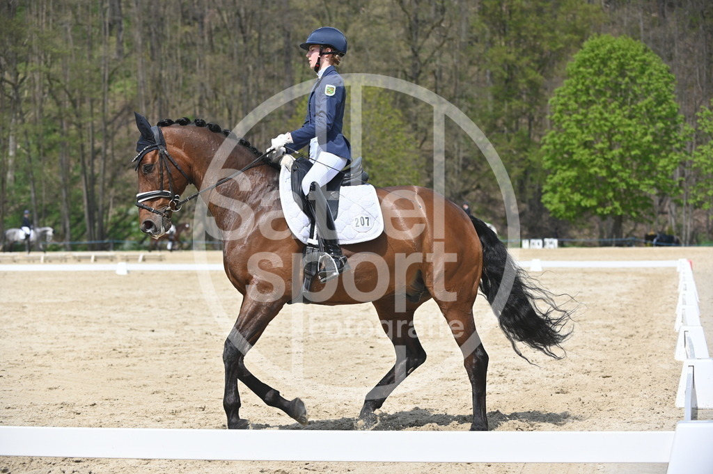 DSC_2188 | sattelsport - Realisiert mit Pictrs.com