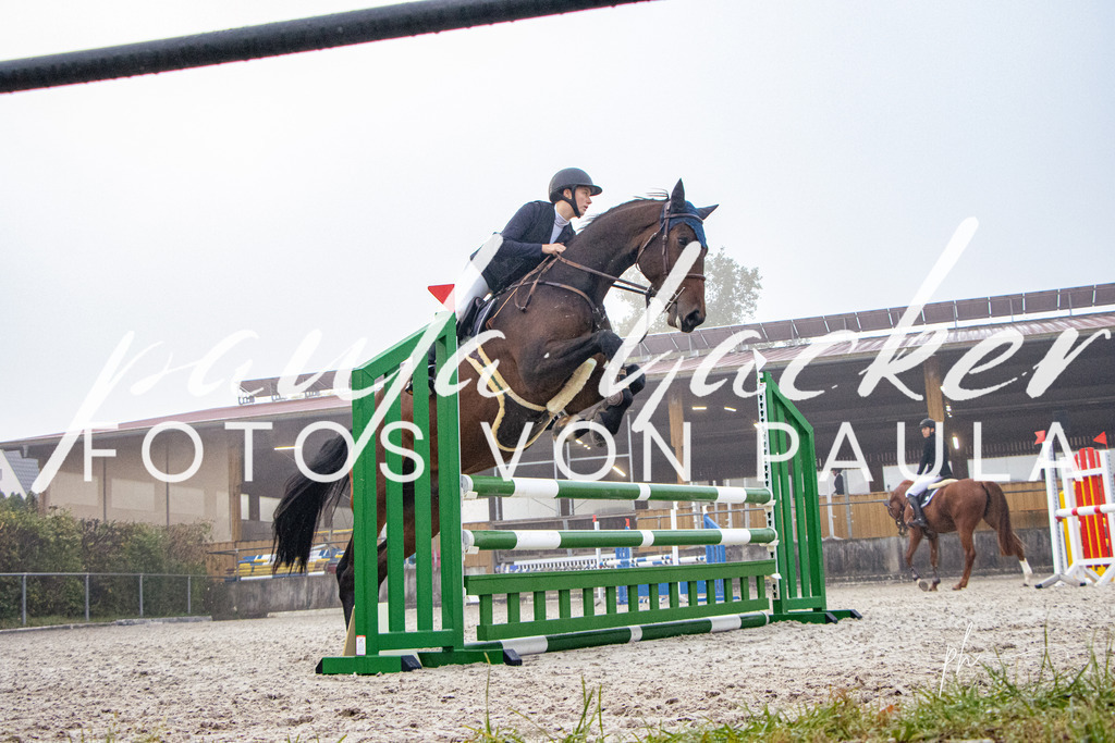 IMG_2536 | Erleben Sie dynamische Sport- und emotionale Tierfotografie in Süddeutschland mit Fotos von Paula. Spezialisiert auf Pferde- und Hundefotografie sowie Sportevents. Kontaktieren Sie mich für einzigartige und ausdrucksstarke Bilder Ihrer besonderen Momente. - Realisiert mit Pictrs.com