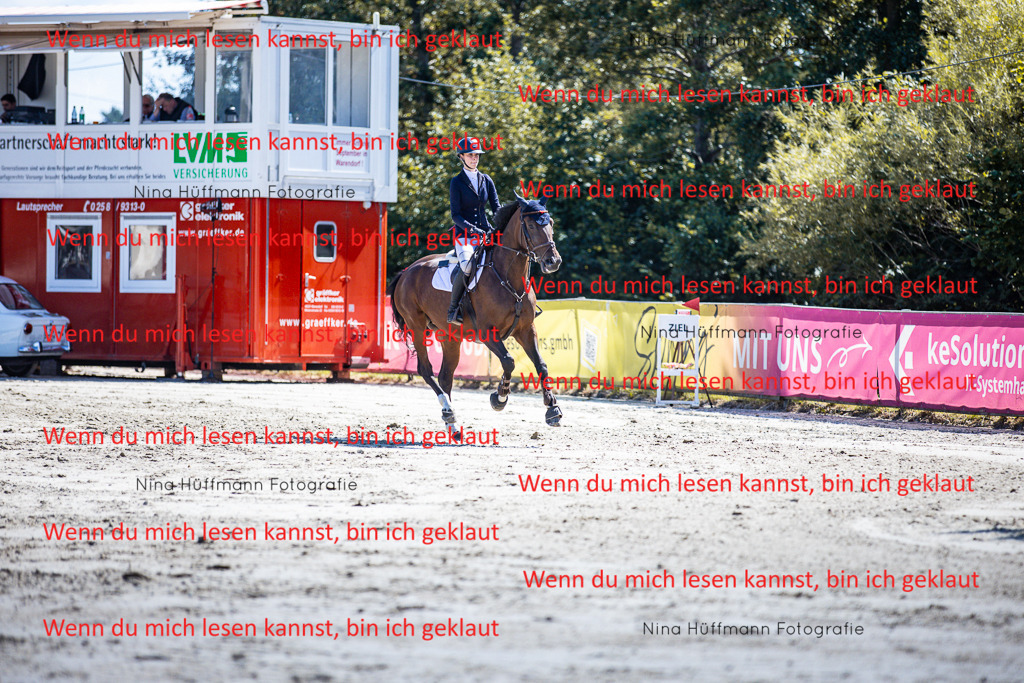 BK1A5451 | Turnierbilder Turnierfotos Nina Hüffmann Turnierfotografie Pferdefotografie Tierzeichnung Haustierzeichnung Pferdezeichnung Hundezeichnung Videograf  - Realisiert mit Pictrs.com