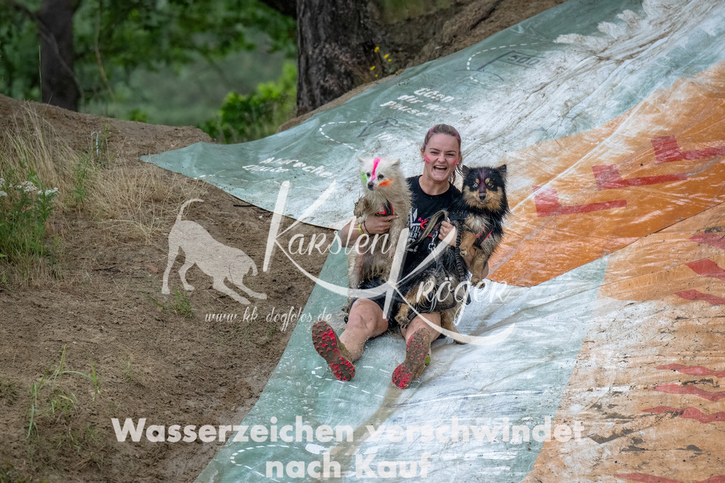 1231_ZZ92906-Bearbeitet | kk-dogfotos