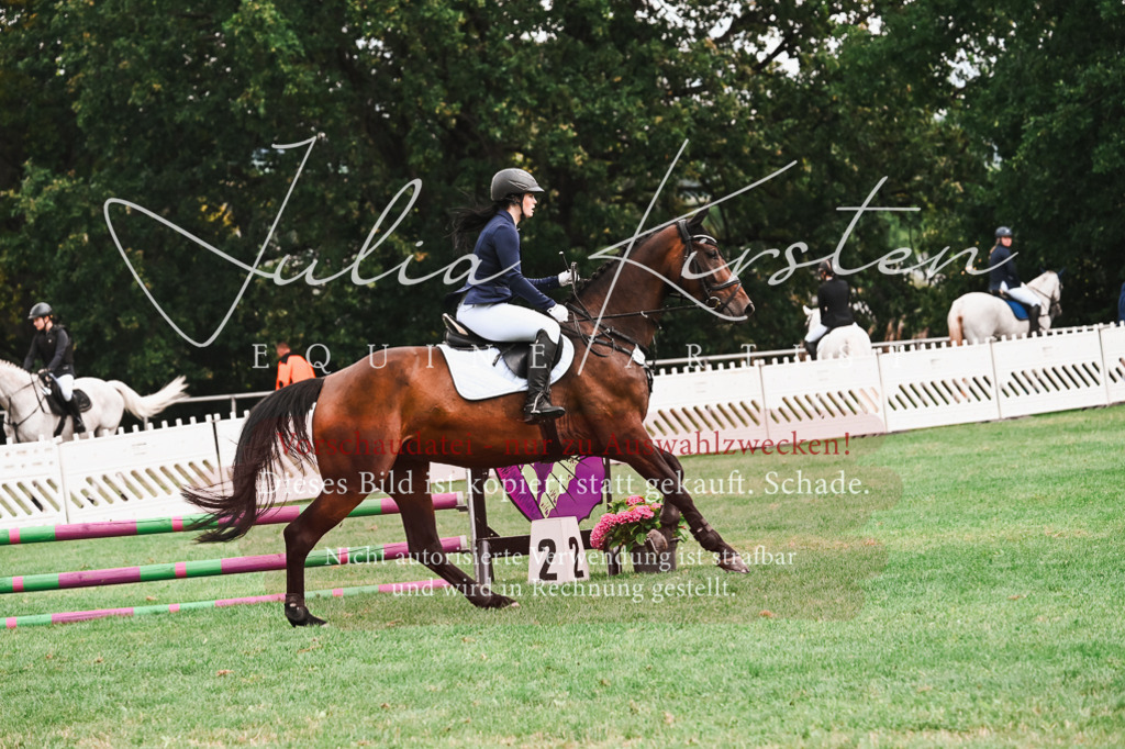 DSC_5997 | Pferde- und Turnierfotografie in Westsachsen. Pferdeportraits, Auftragszeichnungen und intuitive Kunst.