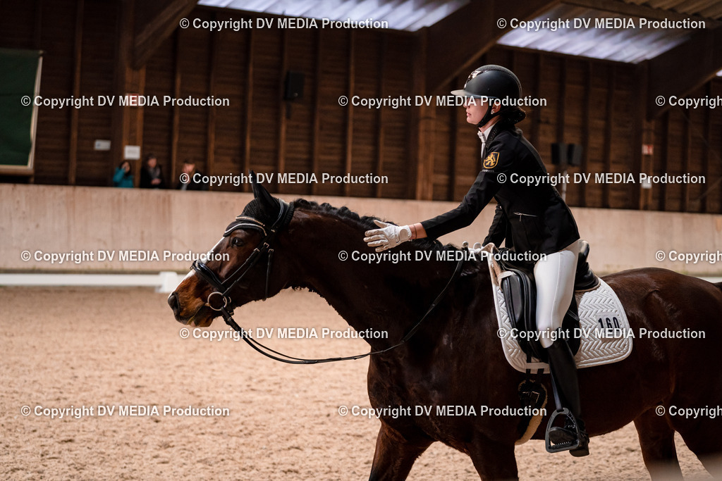 Dressur Tag 2-269 | dv-media-shop - Realisiert mit Pictrs.com