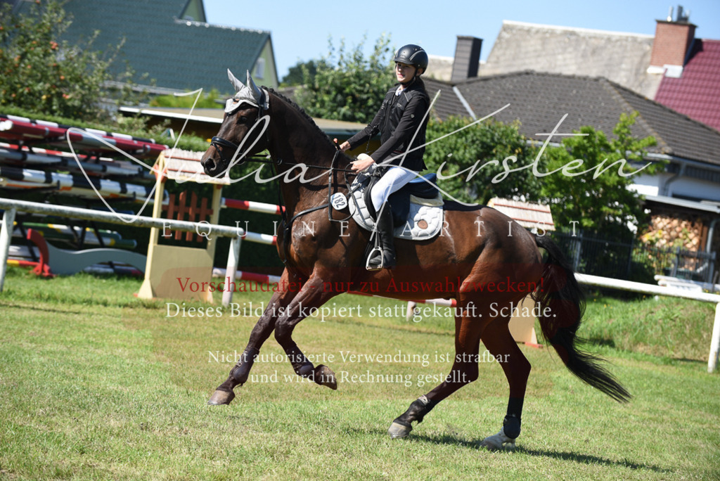 DSC_9439 | Pferde- und Turnierfotografie in Westsachsen. Pferdeportraits, Auftragszeichnungen und intuitive Kunst.