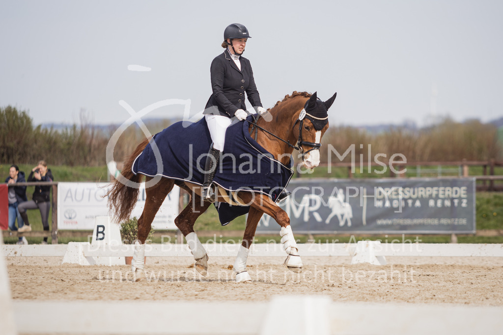 230410_Frühlingsfest_A-Dressur-570 | Deine schönsten Turniermomente als professionelle Fotos! Entdecke hochwertige Pferdesport-Fotografie im Online-Shop. Jetzt Fotos finden & bestellen!