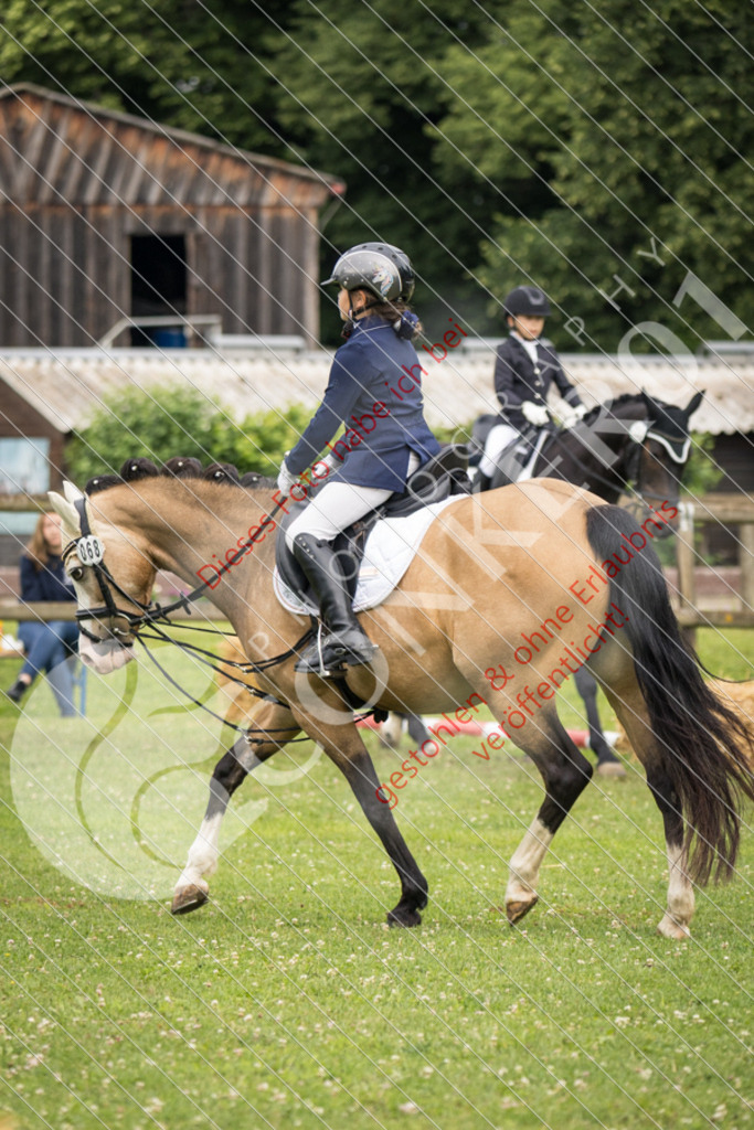 IMG_1673 | Sport-, Event- und Tierfotos in Profiqualität. Einfach auswählen, bestellen und herunterladen. Dein Moment – perfekt festgehalten.