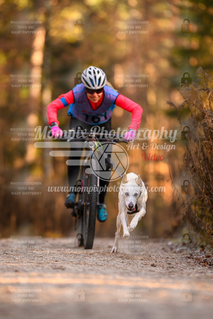 MompixPhotography_DM_AKDM_SO_2025_Bike-103 | PayLife