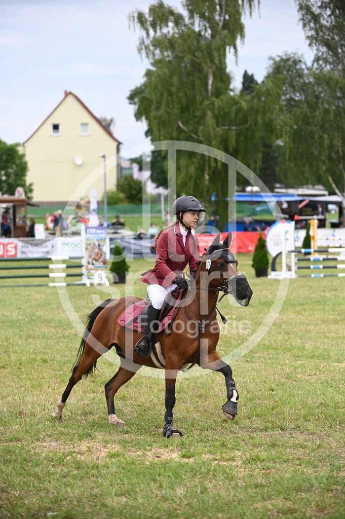 DSC_5062 | sattelsport - Realisiert mit Pictrs.com