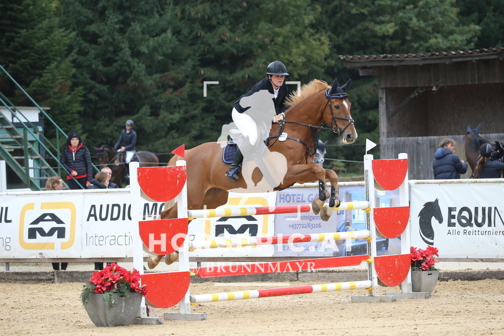 DL2Q1009 | Willkommen bei Brunnmayr - Design & Fotografie – Ihrem Spezialisten für Reitturniere und Pferdeveranstaltungen in Oberösterreich, Salzburg und Bayern! Seit über 17 Jahren sind wir leidenschaftlich dabei.