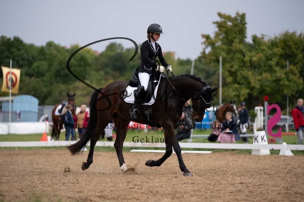 A7V05525 | Pferdefotograf