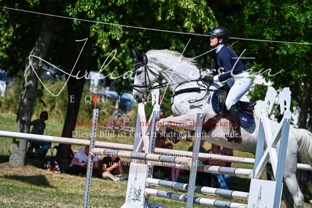DSC_1402 | Pferde- und Turnierfotografie in Westsachsen. Pferdeportraits, Auftragszeichnungen und intuitive Kunst.